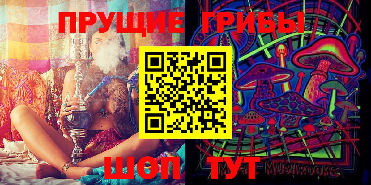 Галлюциногенные грибы Psilocybe Новозыбков