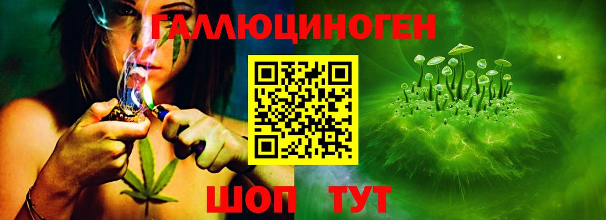 Галлюциногенные грибы мухоморы  Вход с VPN  Новозыбков  Псилоцибиновые грибы прущие грибы 
