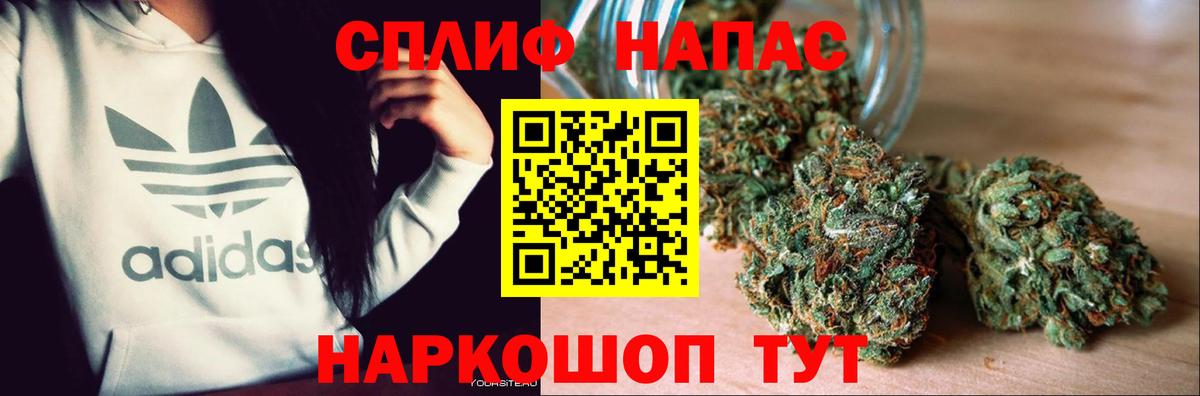 Конопля OG Kush Новозыбков